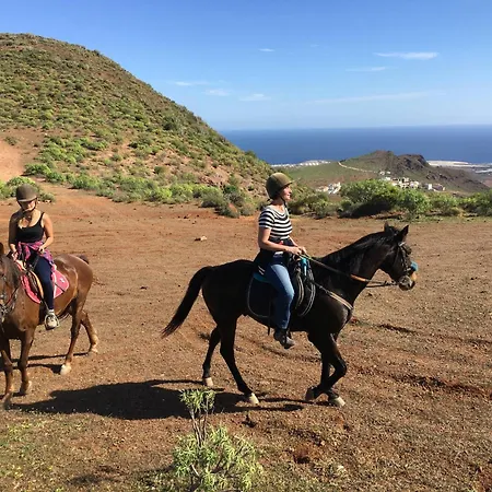 Проживание в семье Feliza