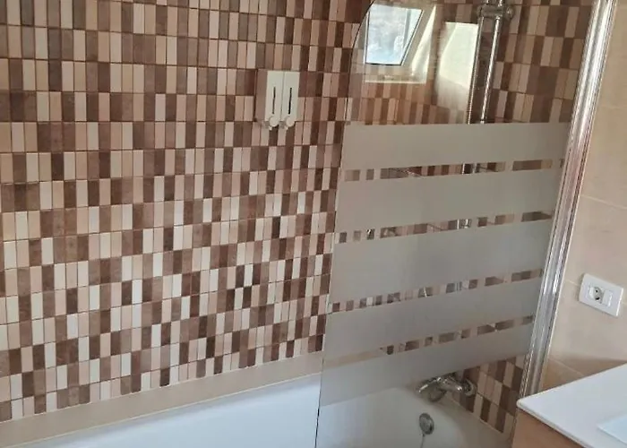 Проживание в семье Feliza *