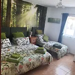 Feliza Проживание в семье *