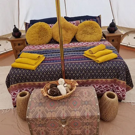 Feliza * Güime